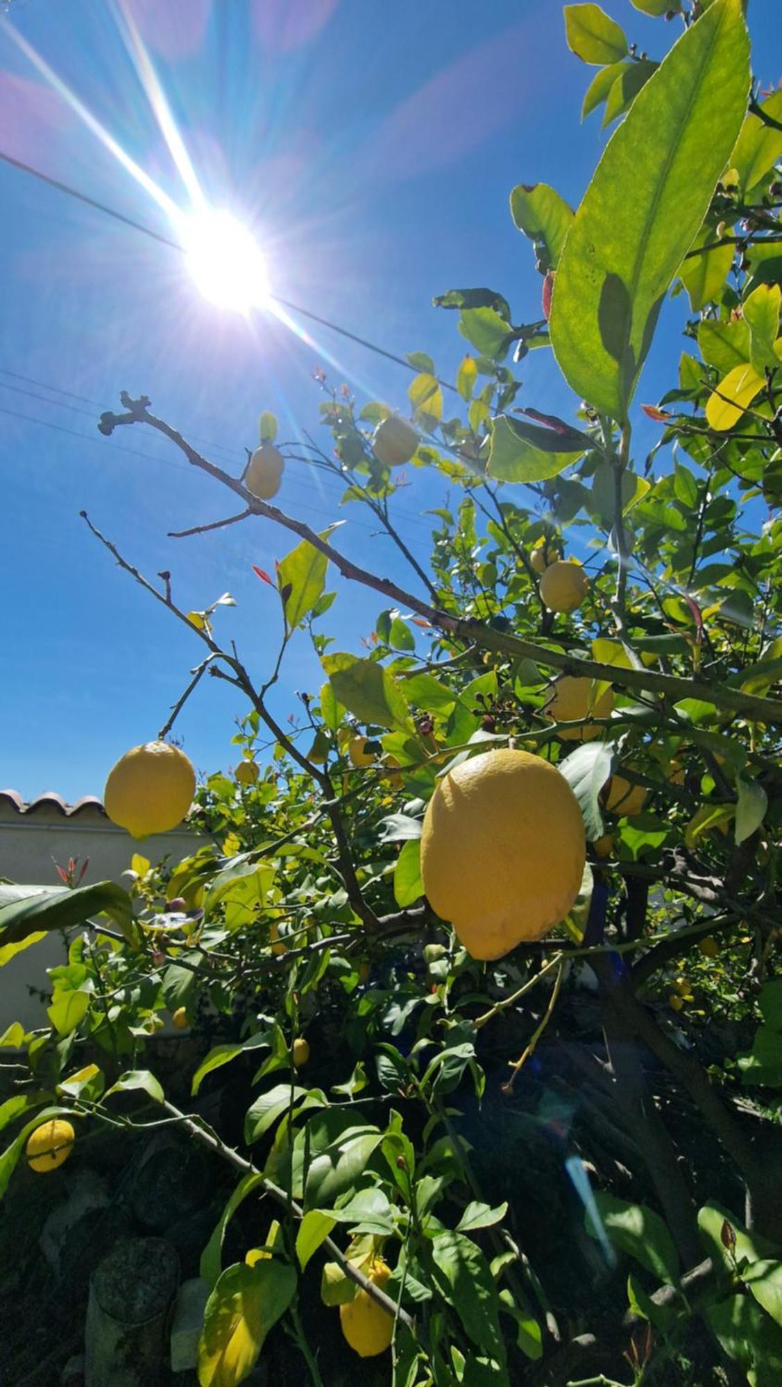 Villa Cirino Milone Brucoli Esterno foto